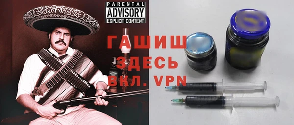 индика Гусиноозёрск
