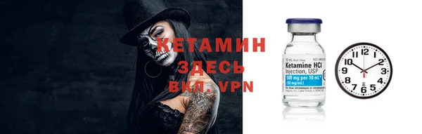 индика Гусиноозёрск