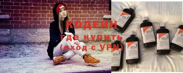 мдпв Горно-Алтайск