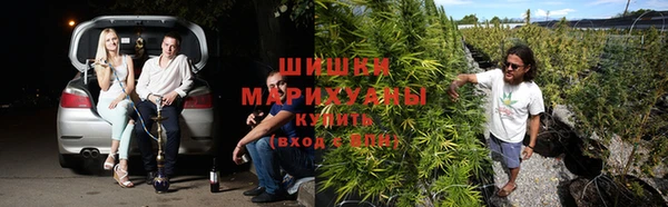 мдпв Горно-Алтайск