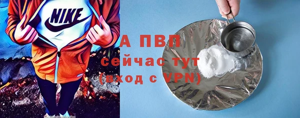 ГАЛЛЮЦИНОГЕННЫЕ ГРИБЫ Гусь-Хрустальный