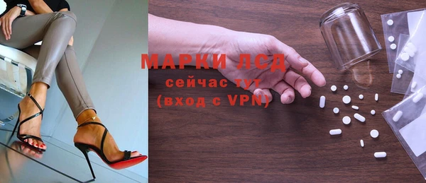 ГАЛЛЮЦИНОГЕННЫЕ ГРИБЫ Гусь-Хрустальный