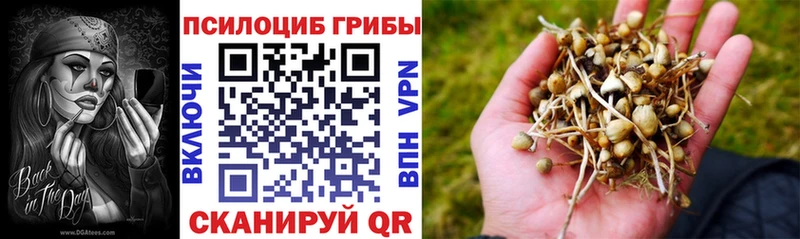 Купить закладки  Наволоки  Псилоцибиновые грибы мухоморы 